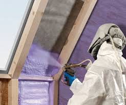 Best Eco-Friendly or Green Insulation Solutions  in Vla Park, IL